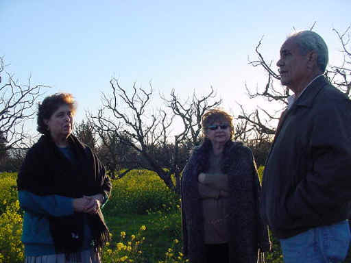 Talking in an orchard
